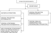 Struktura organizacyjna Departamentu Społeczeństwa Informacyjnego